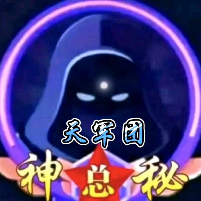 @神㊙️🇨🇳 天下