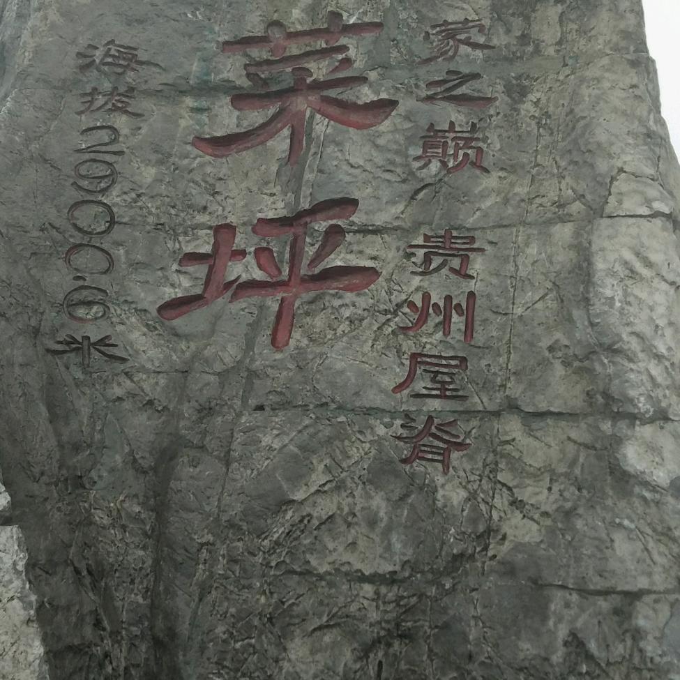 大家好