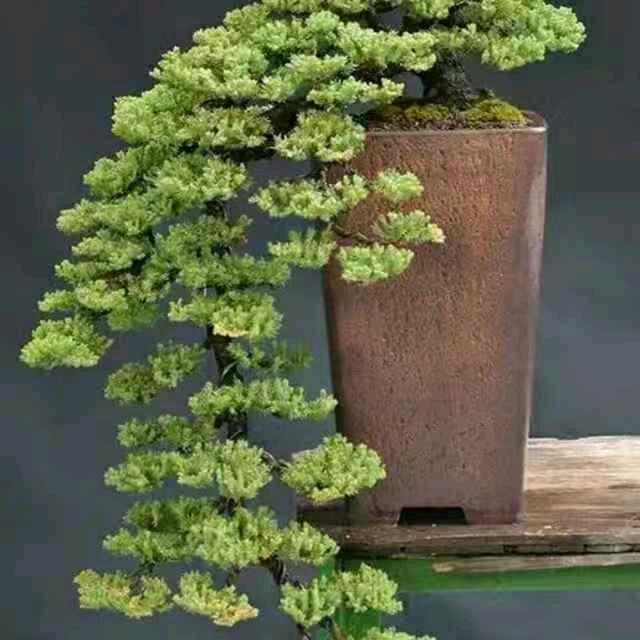 幸福
