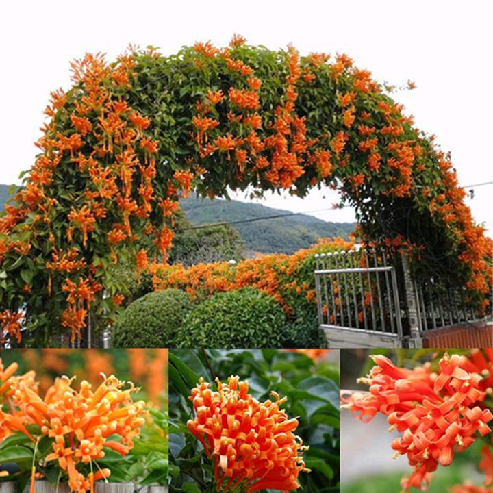 一张纸