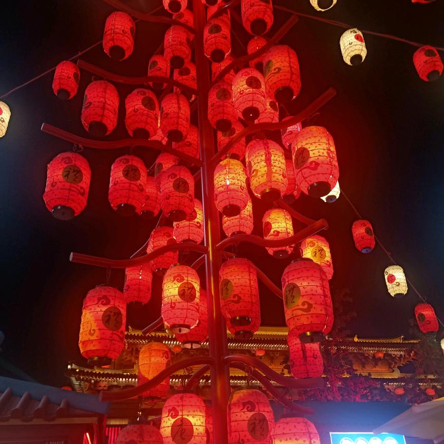辉常开心