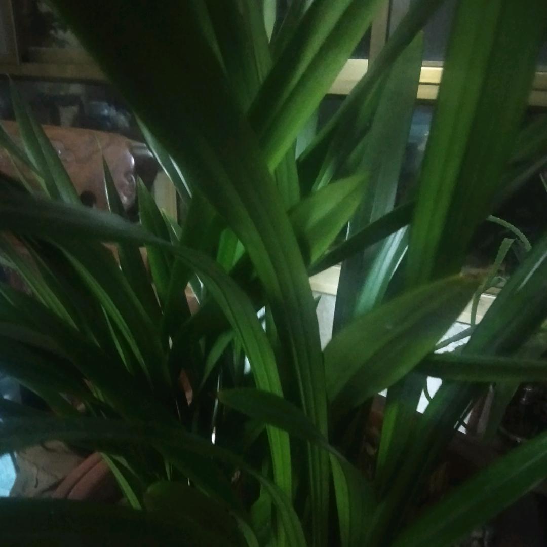 晨光万里