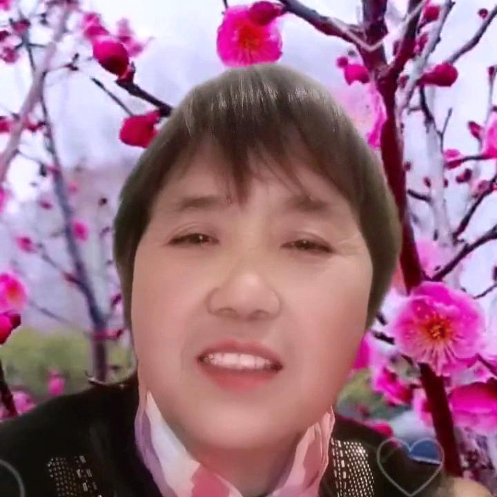 可馨奶