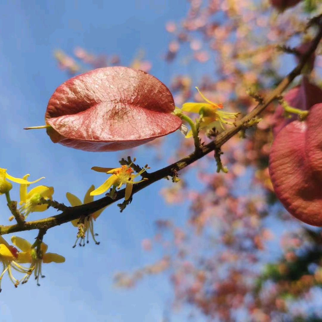 过去～