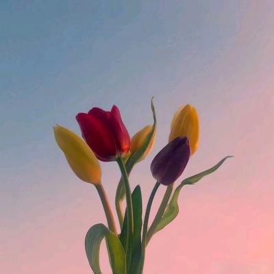 🌹