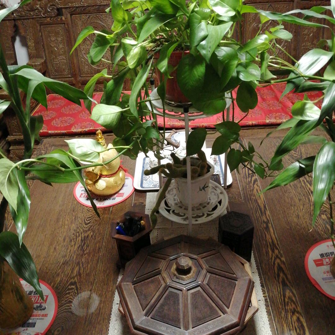 婷婷“想起”的钟哥😭