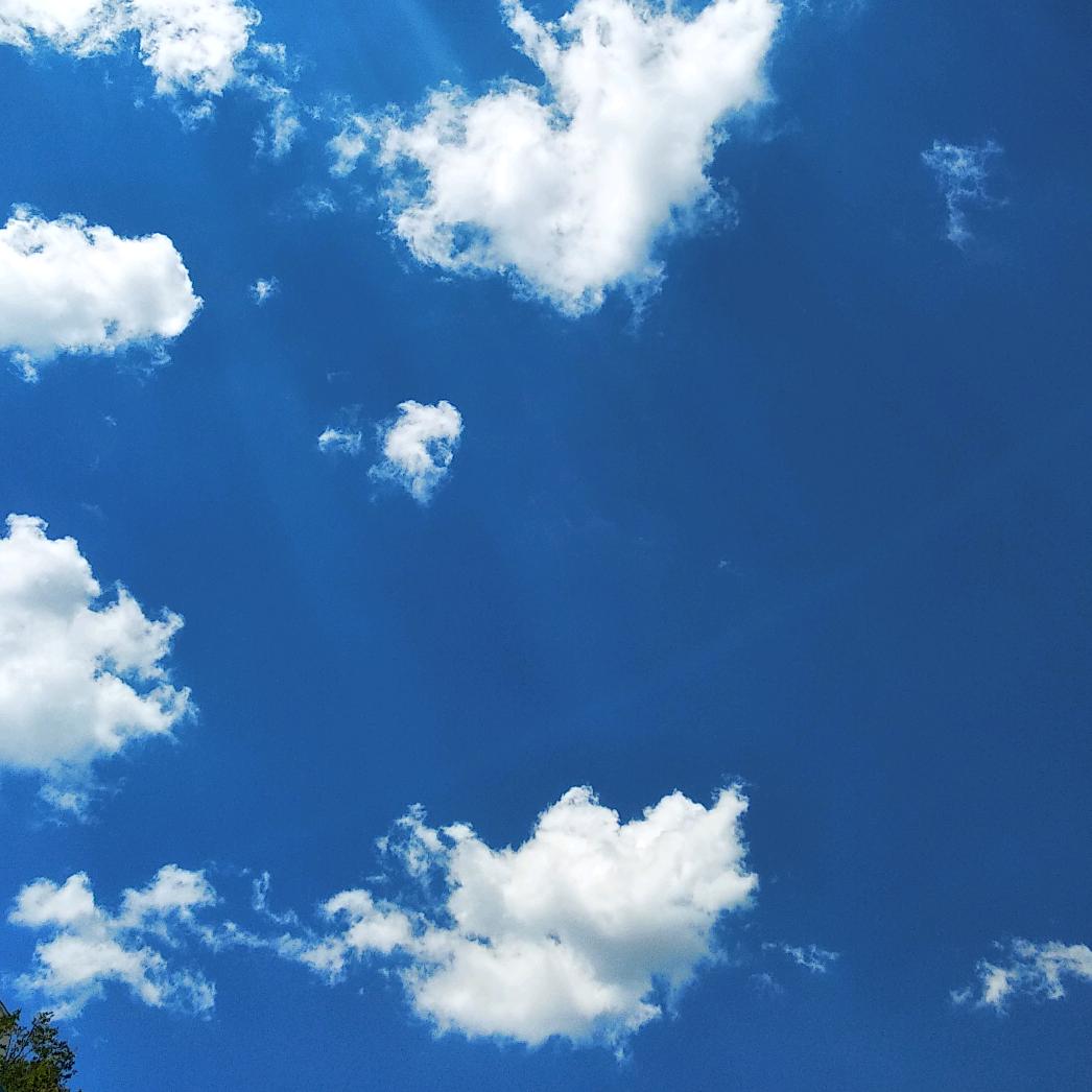 用户3231856110550时光飞逝