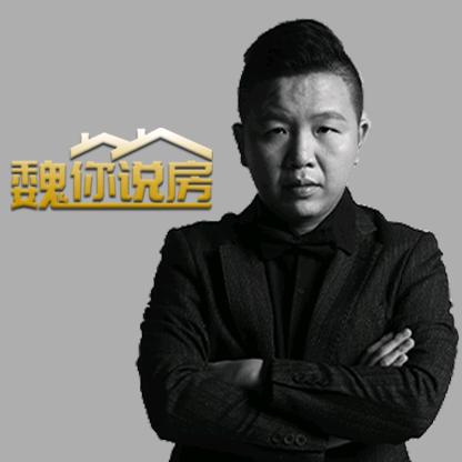 魏你说房