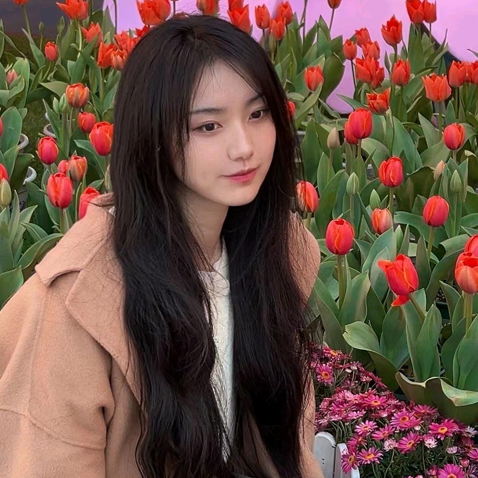 游乐丸子🍡（不蹦极版）