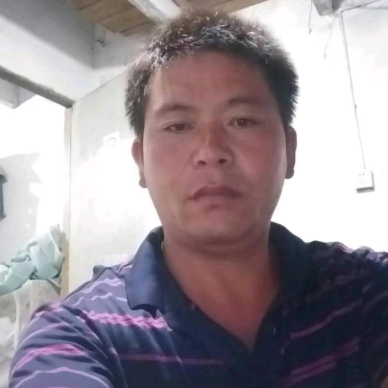 晴晴爸