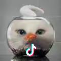还是真有意思