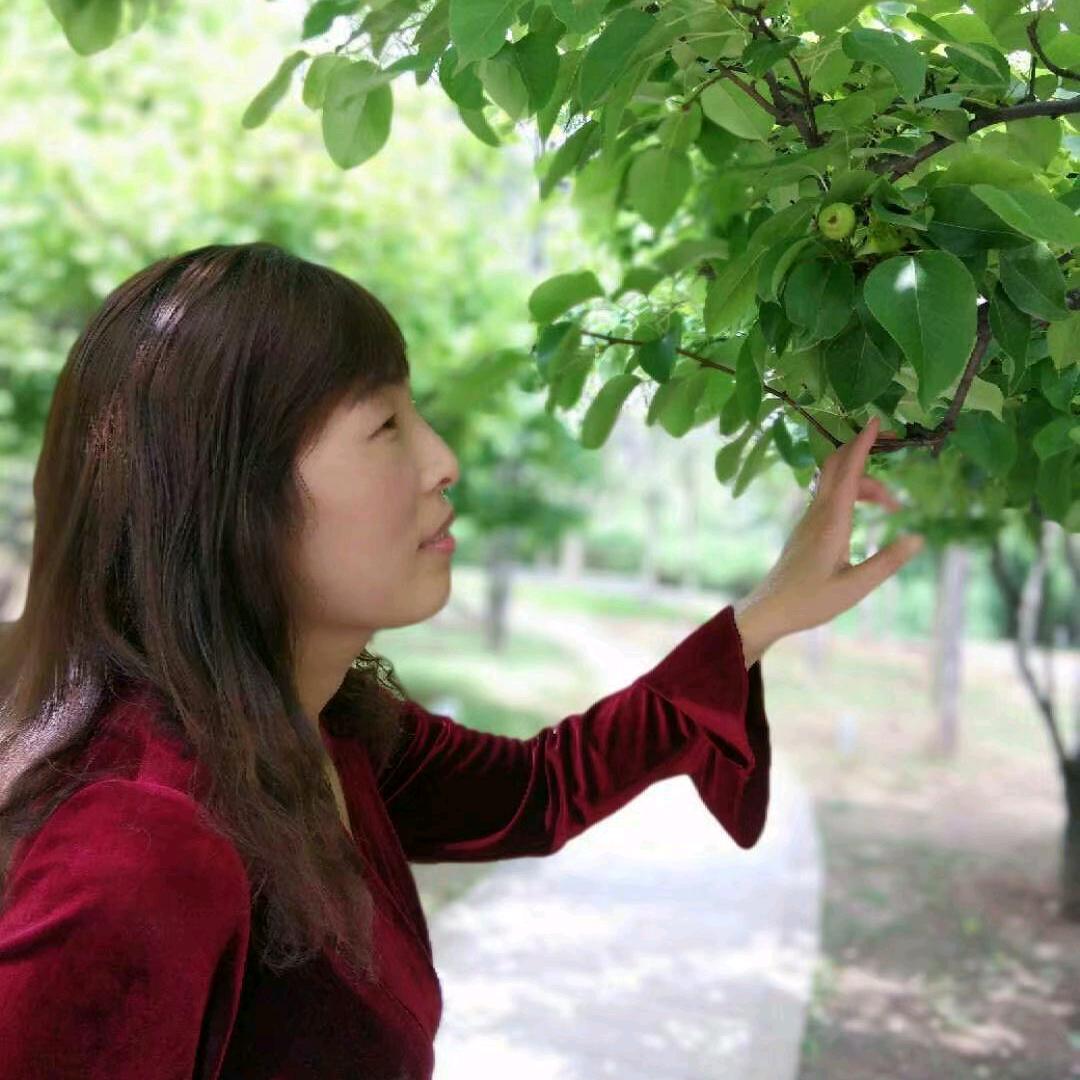 明月轻倚深秋