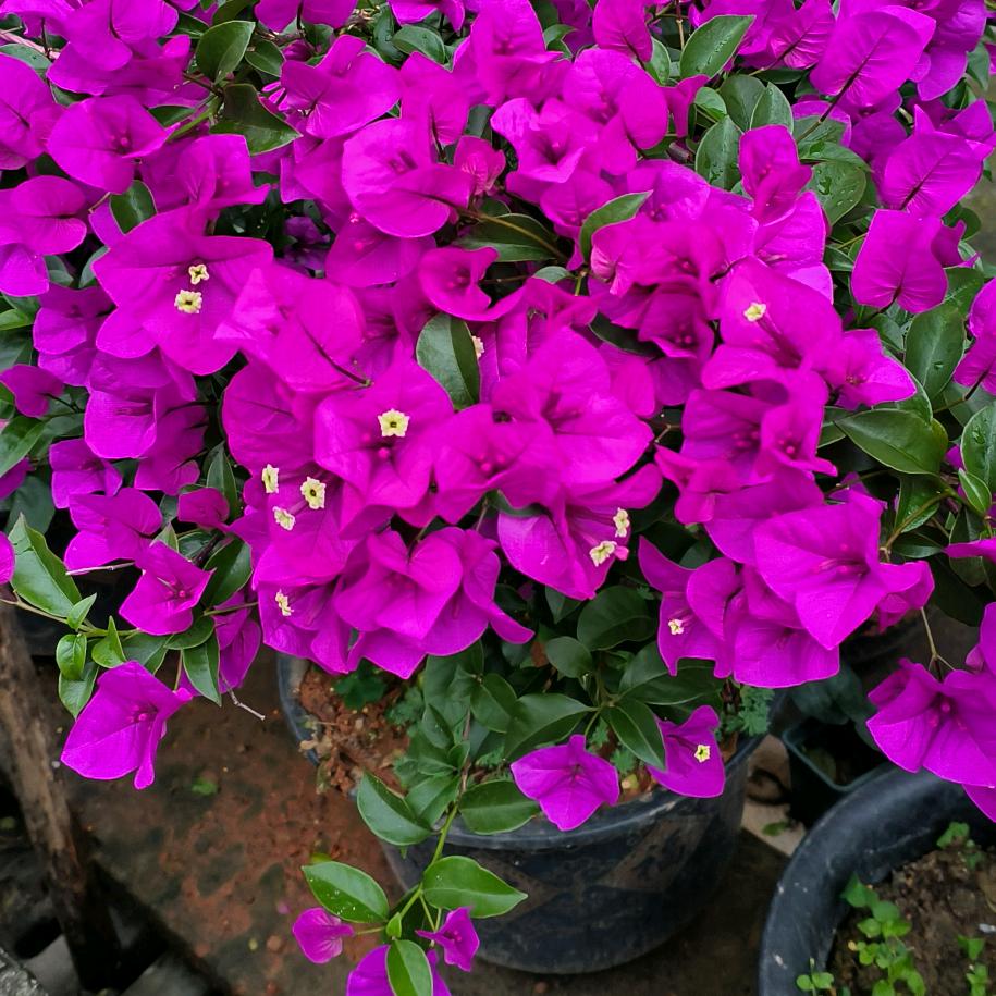 我们 不一样