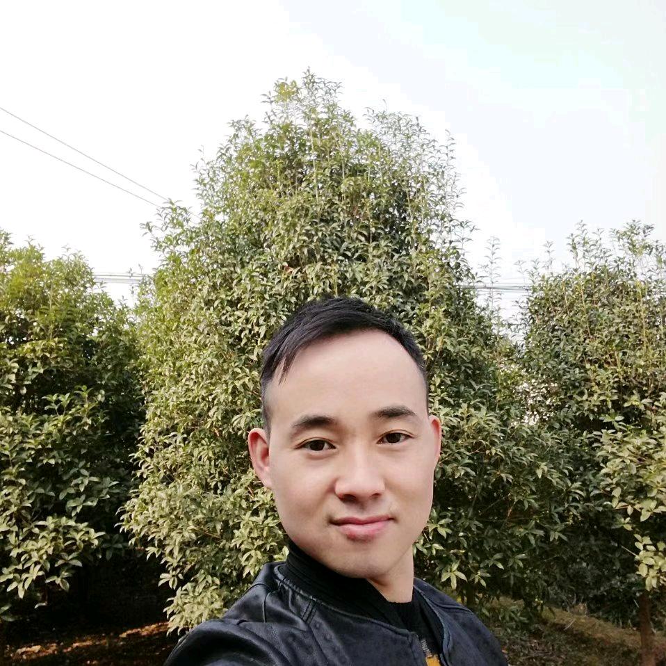 木匠小王装修团队