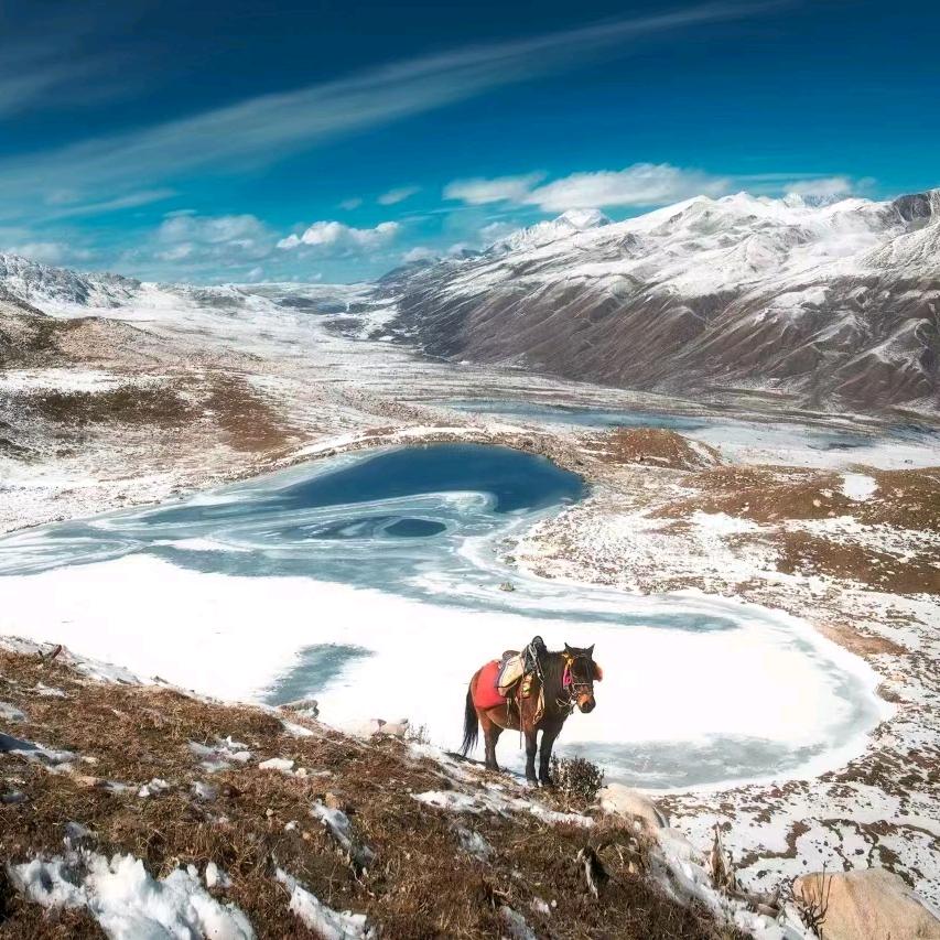 南城，守护⊙ω⊙