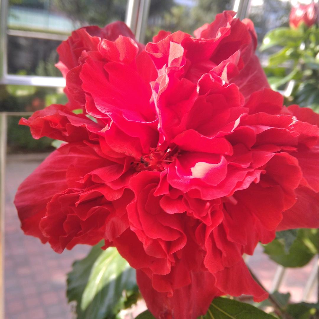 周先生山东德州