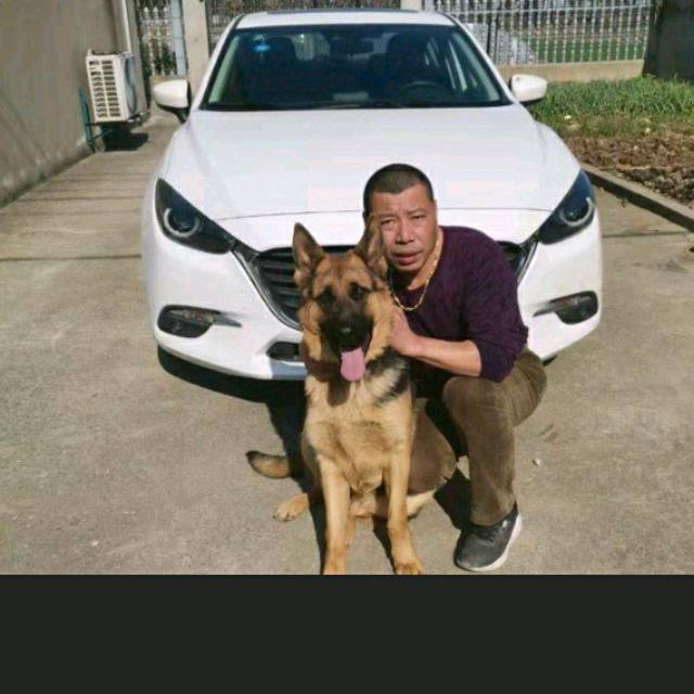 相爱在网络