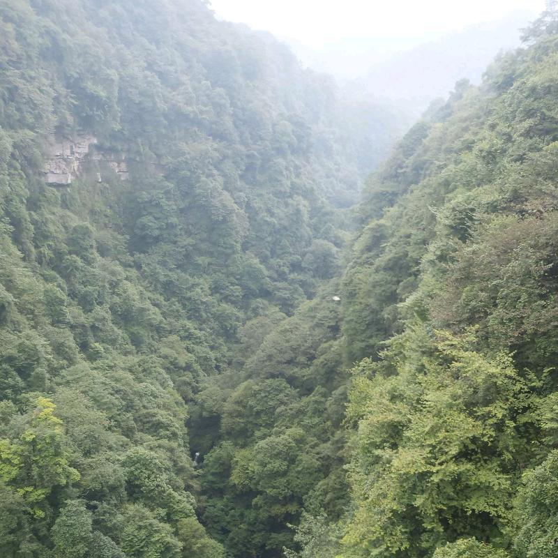 幸福伴一生