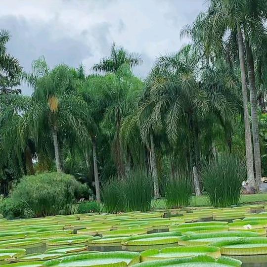 开开心心过好每一天