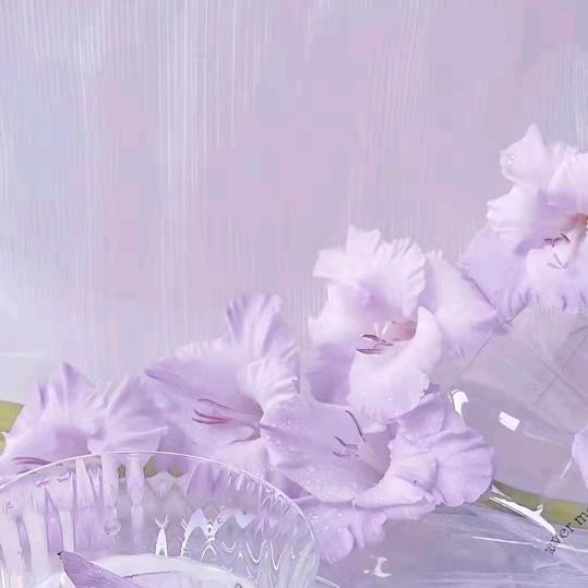 红儿