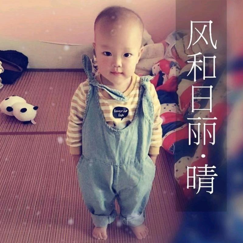 胡世杰