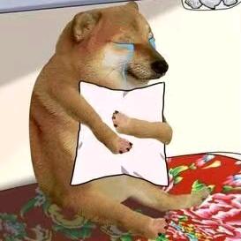 low狗