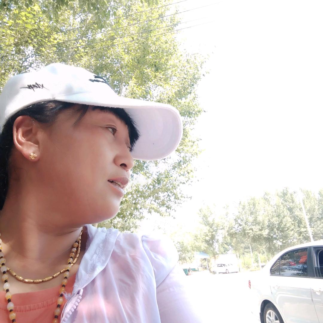球球168顺诚驾校
