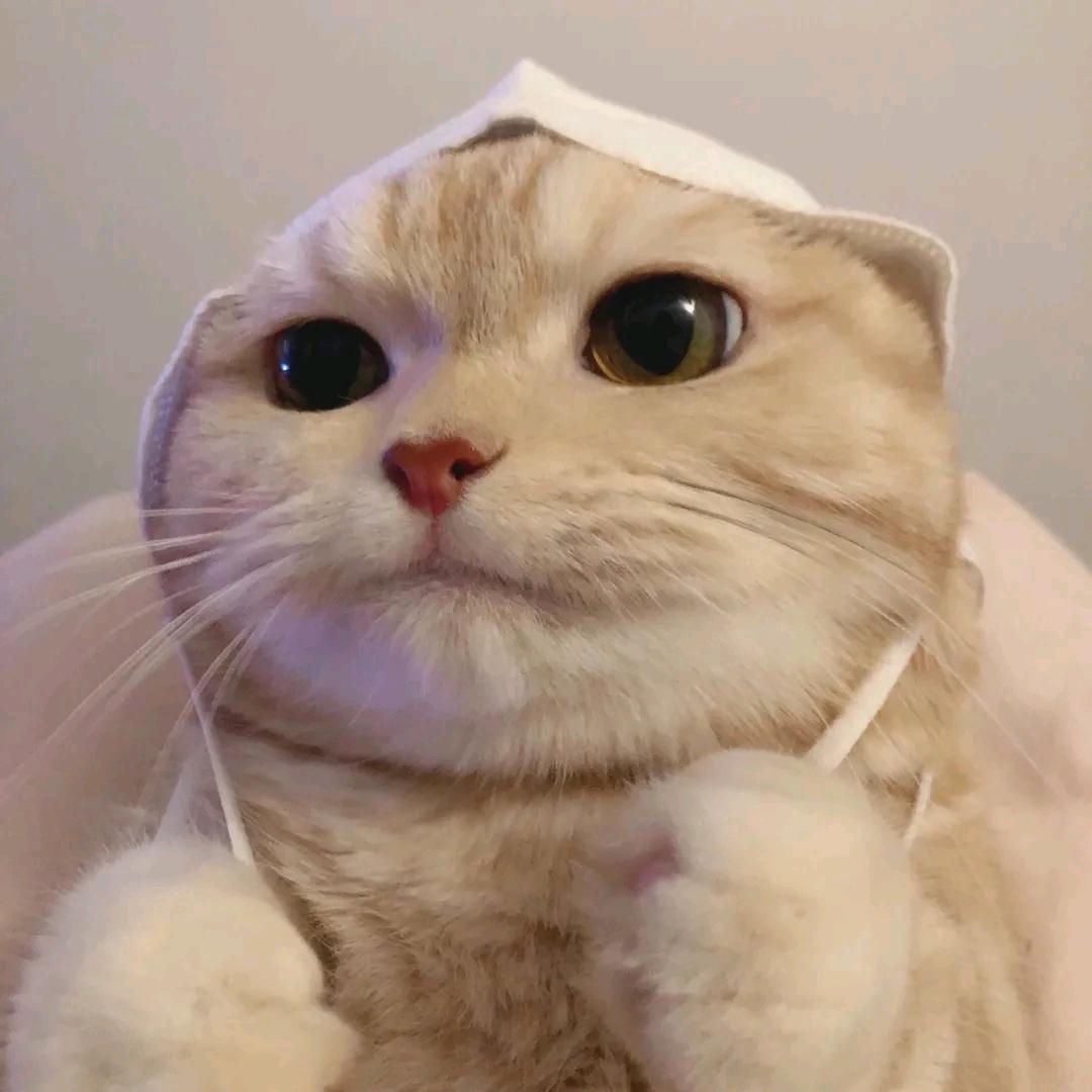 霂喬