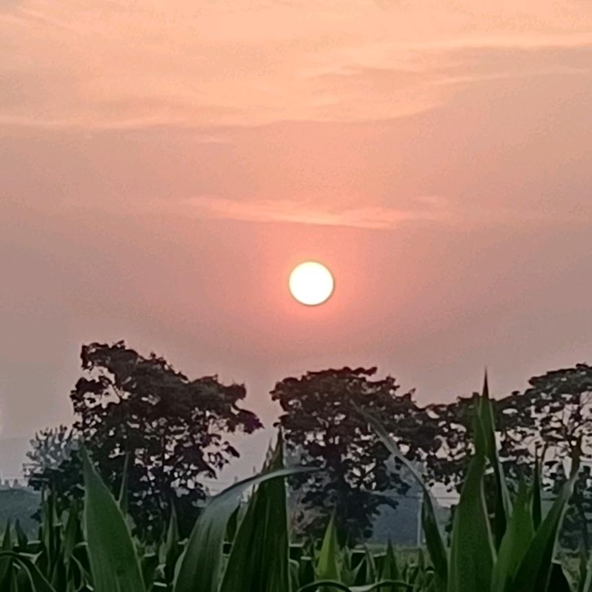 ＊≈清☆水≈＊