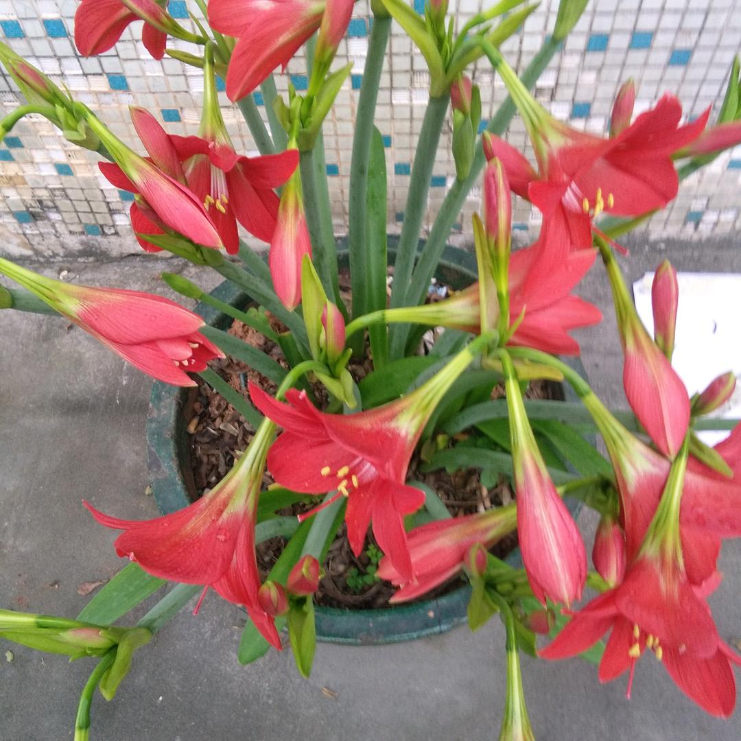 一伙姚