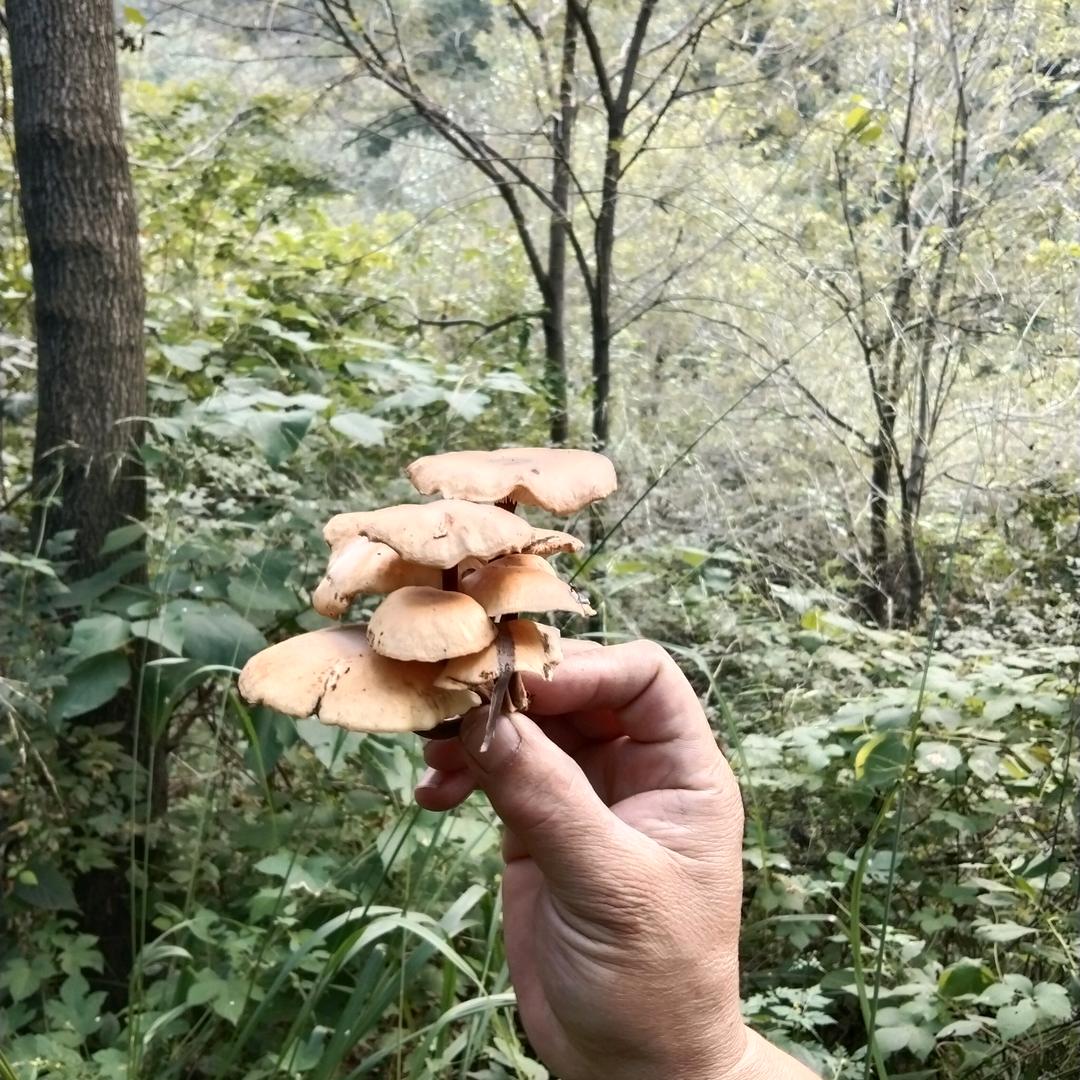 让自己快乐🙂才叫做人生🙂