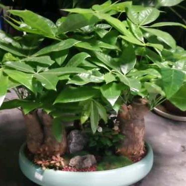 新伙-人力资源。