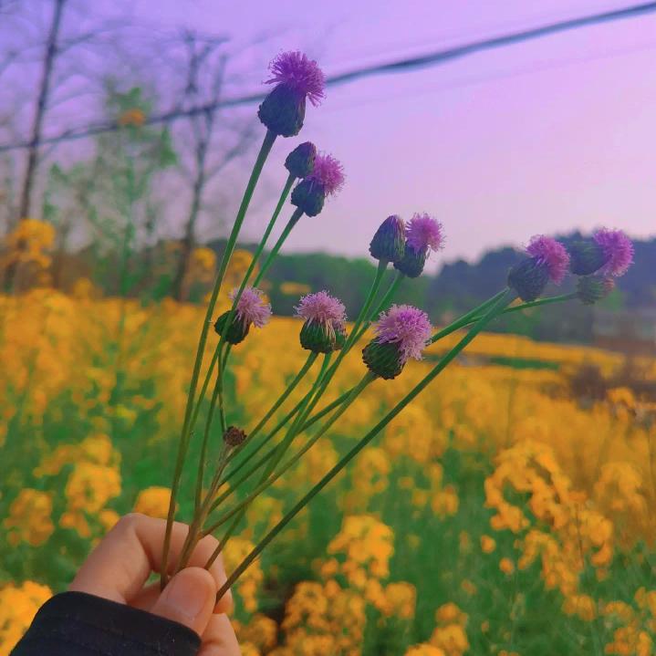 @憨憨