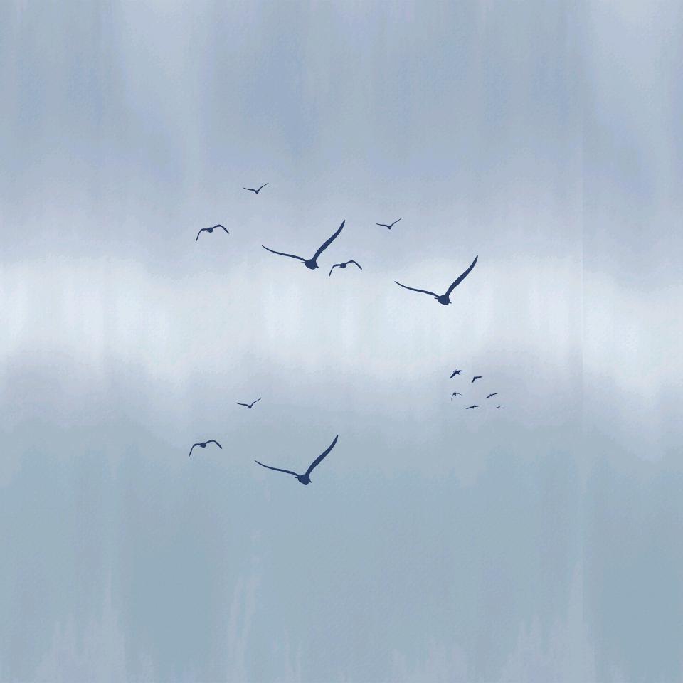 一晌贪欢