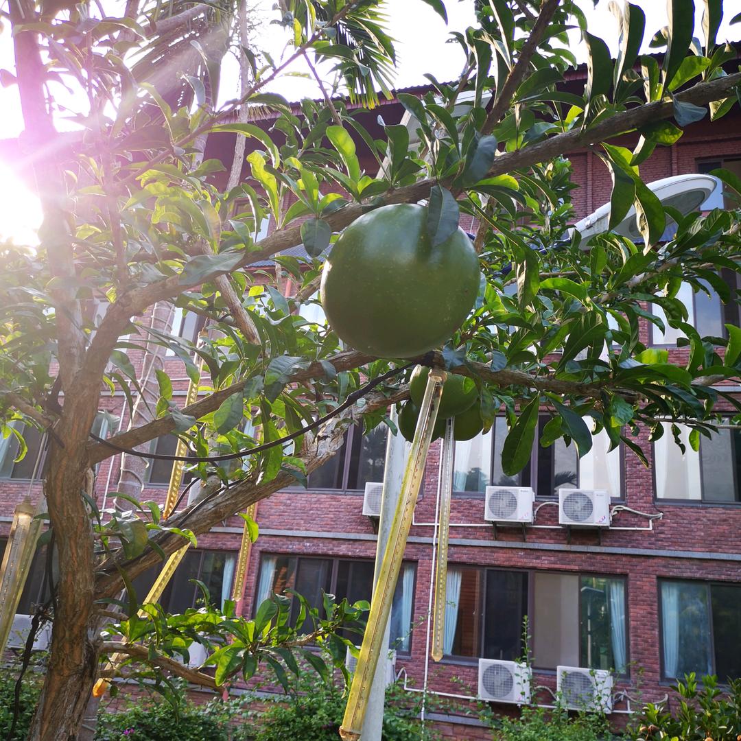 鱼🐟用户5381002467