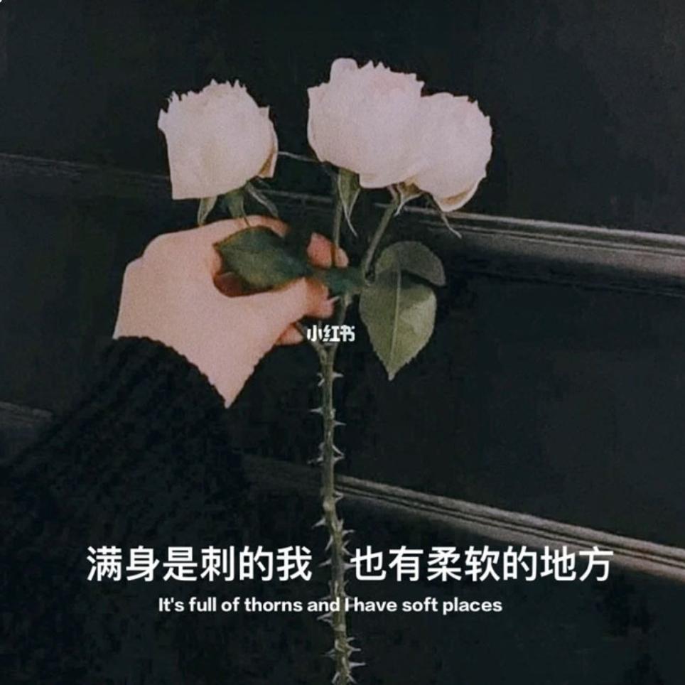 不+糖的咖啡☕️