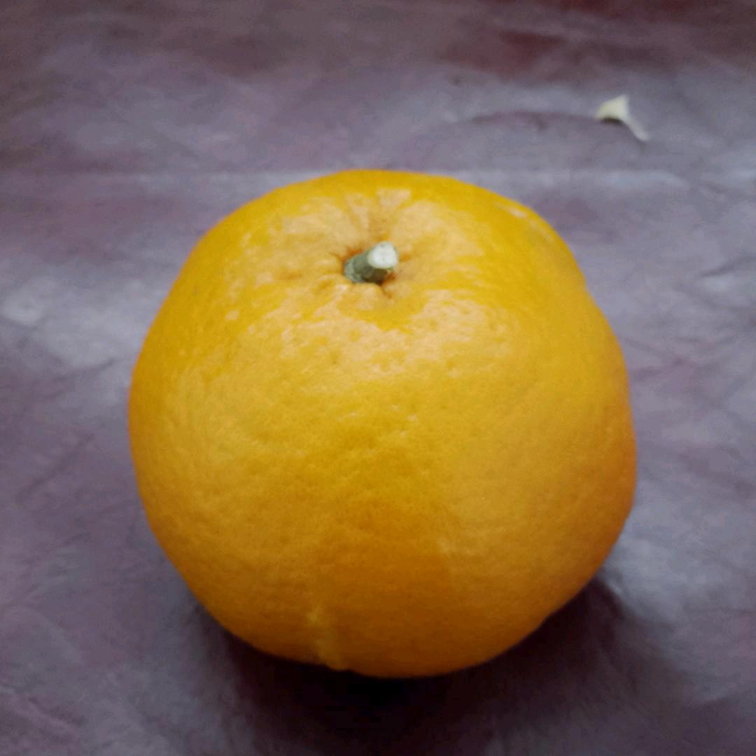 江永县专业疏通下水道周老三