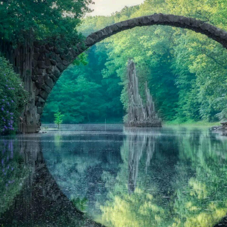 紫气东来叶绿红花