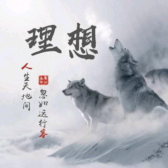 温柔的阳光