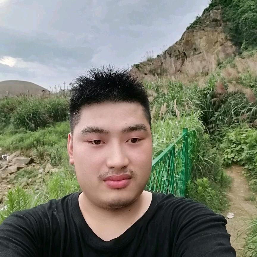 白柳镇
