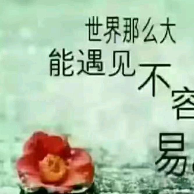 余生随心