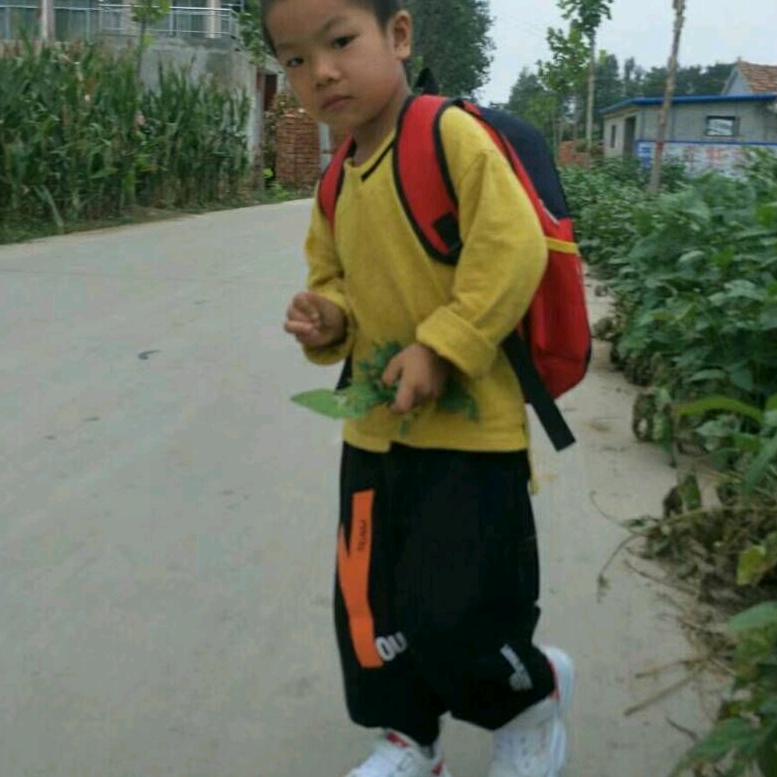 王银凤