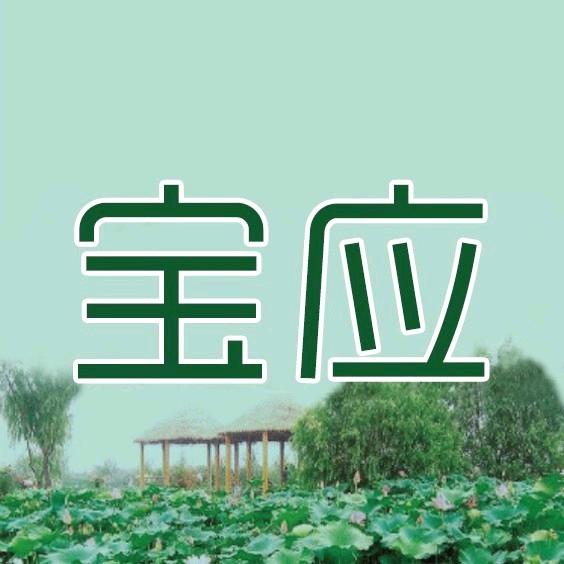 逛吃宝应💋