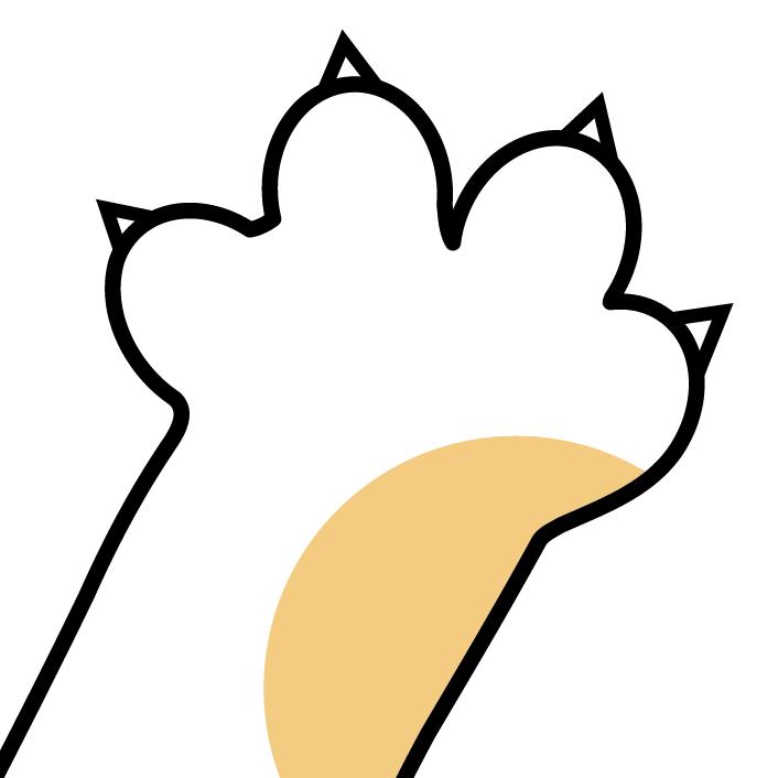 小猫画故事