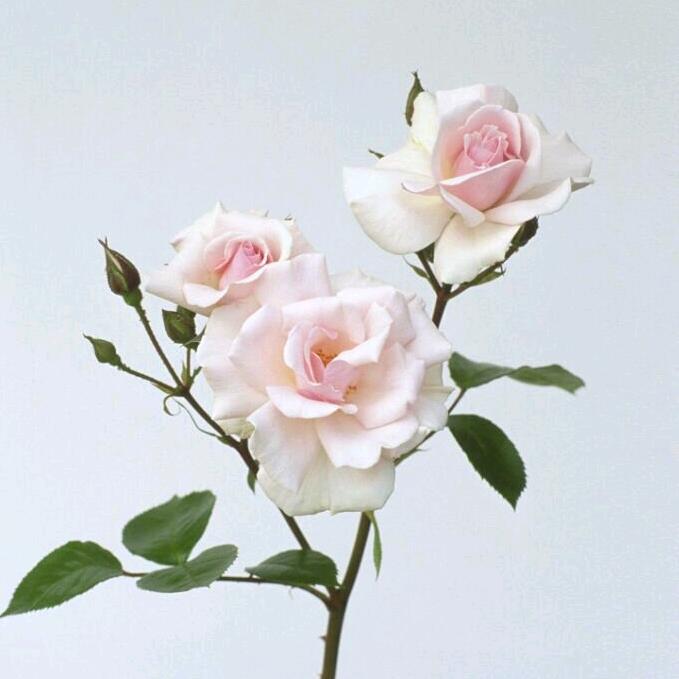 相遇是緣