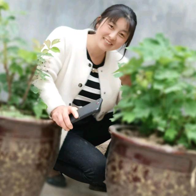AA专业烧色