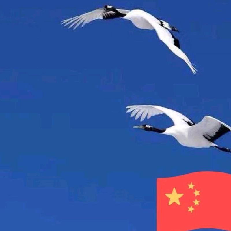 大道至简（静谧淡雅）