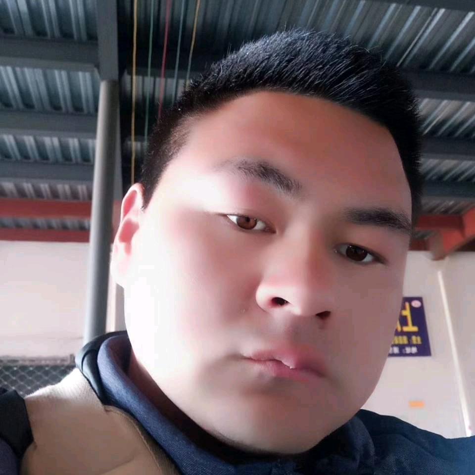 上海卖活鸡专业户