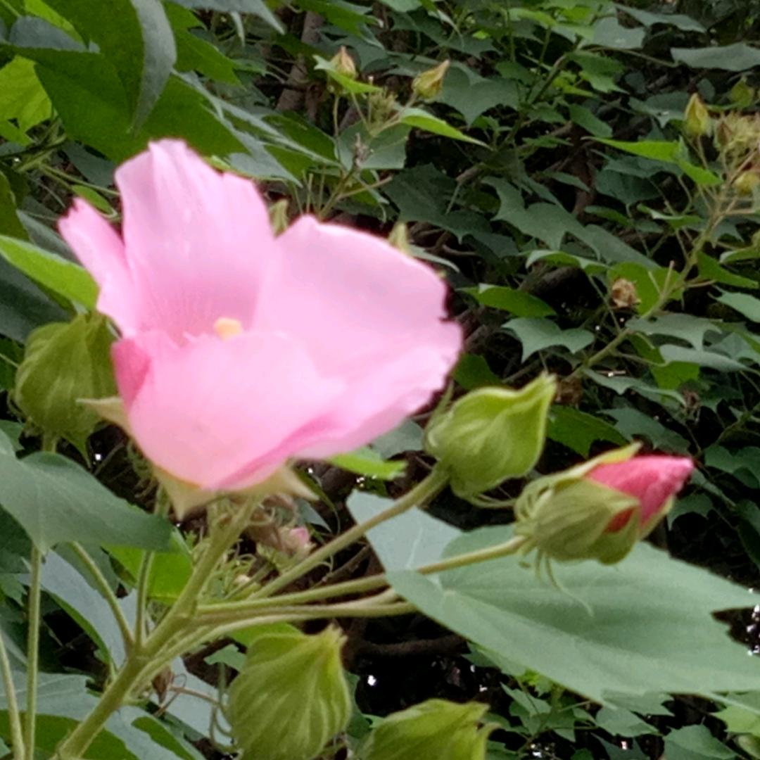 冷不过人心❤️