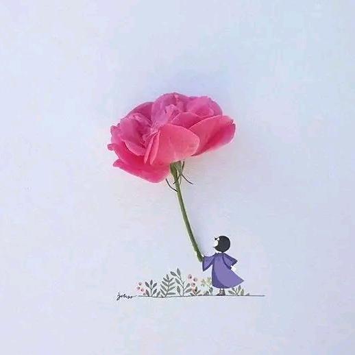 一花一草